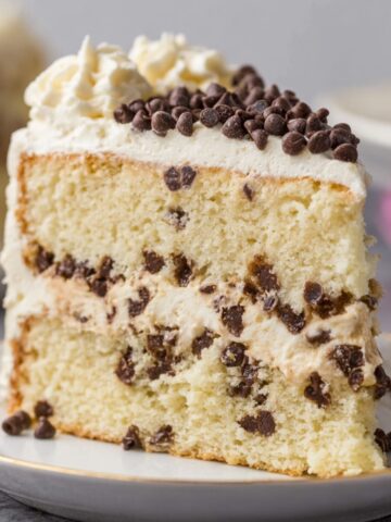 The Best Cannoli Cake Recipe 1 A slice of cannoli cake with chocolate chip filling, topped with mini chocolate chips, showcasing soft cake layers and creamy frosting.